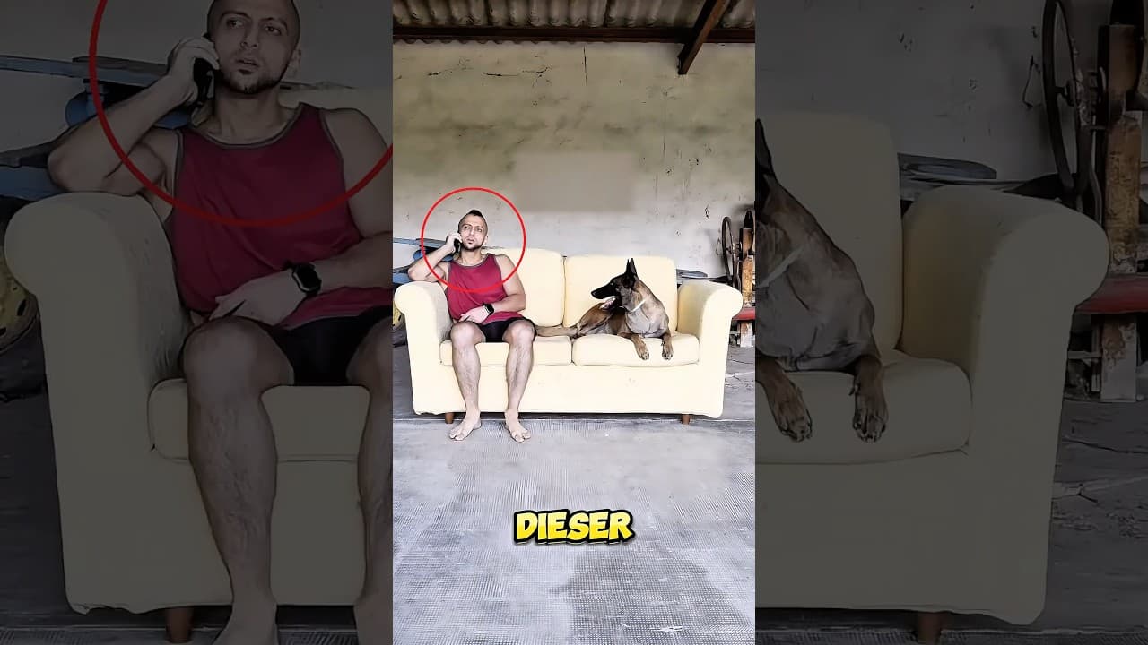 Mit Einem Kleinen Experiment Entdeckte Er So Die Treue Seines Hundes.