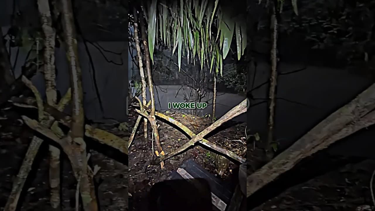 Huge Jaguar Encounter in the Amazon