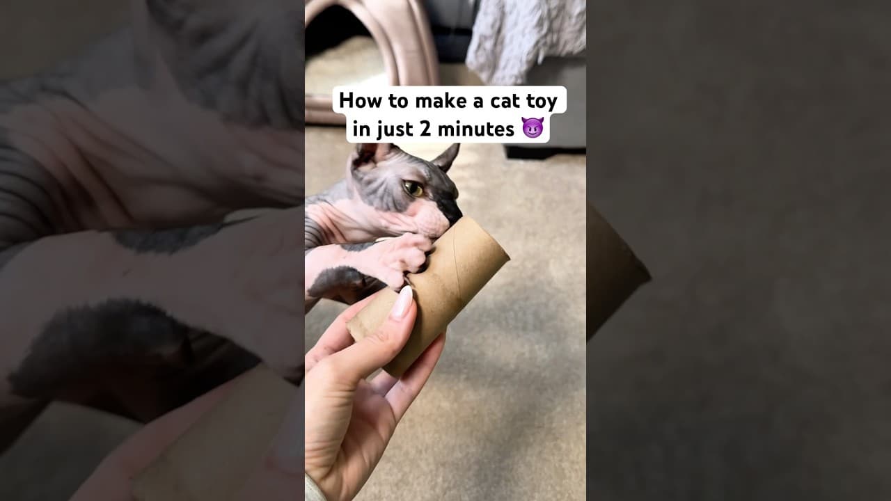 😈 How to make a cat toy in just 2 minutes 🐾