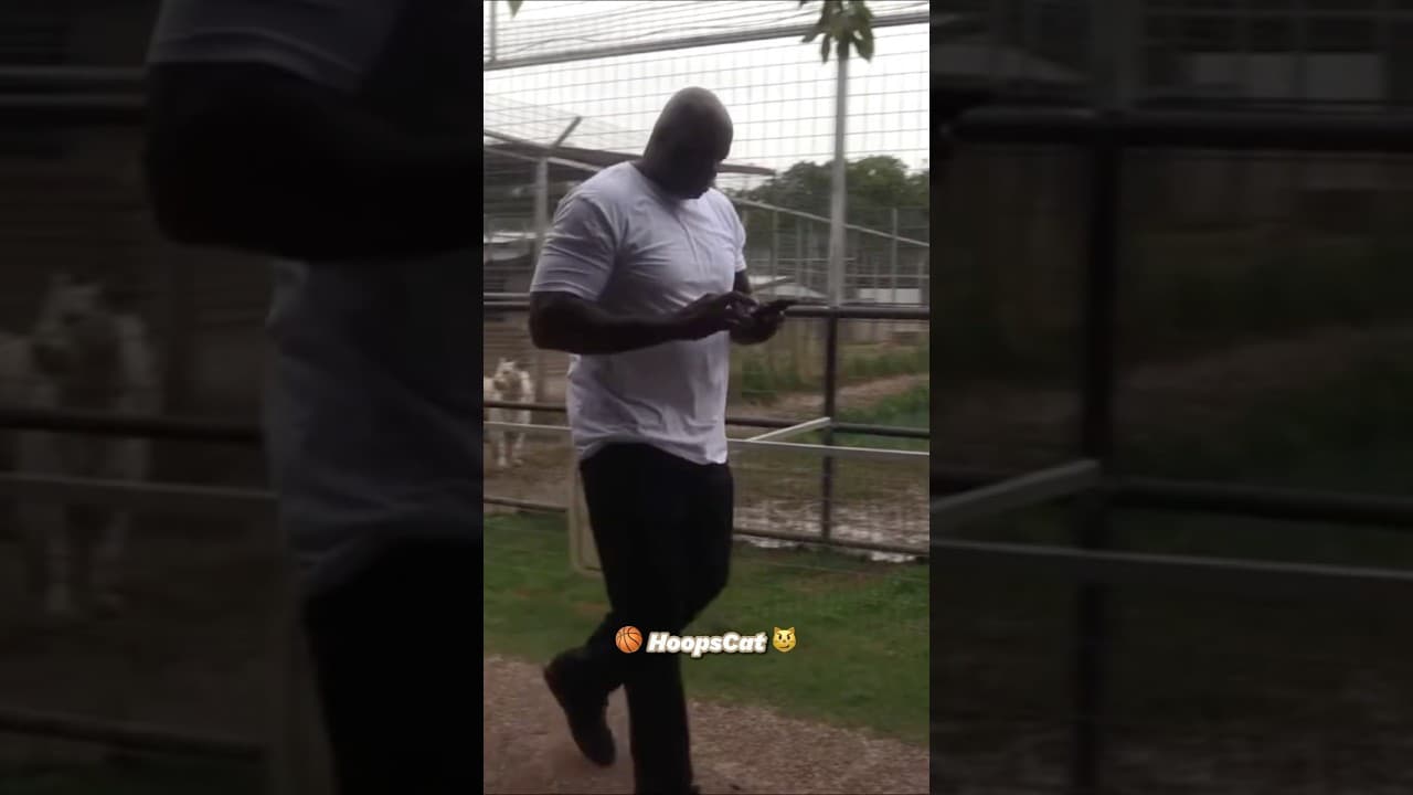 This gorilla tried to challenge Shaq ​⁠​⁠@Impaulsive ​⁠​⁠@ByronScottFastBreak #shaq #hoopscat