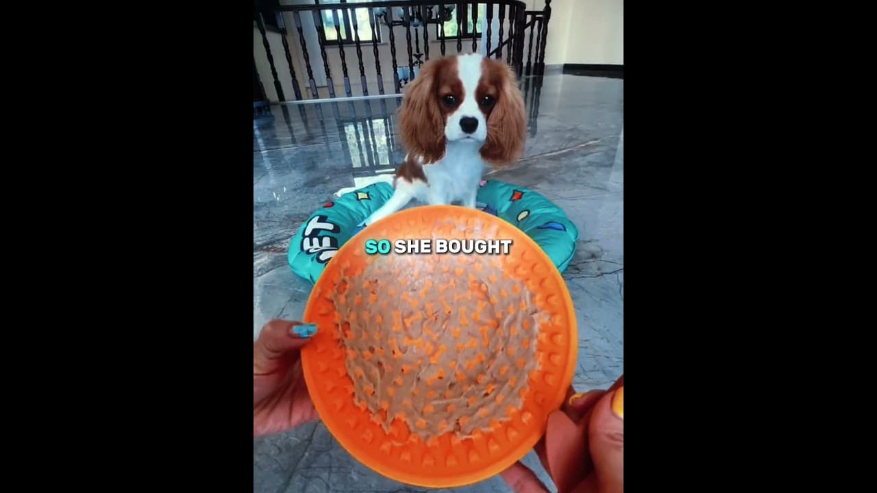 He Is Crazy About Food!