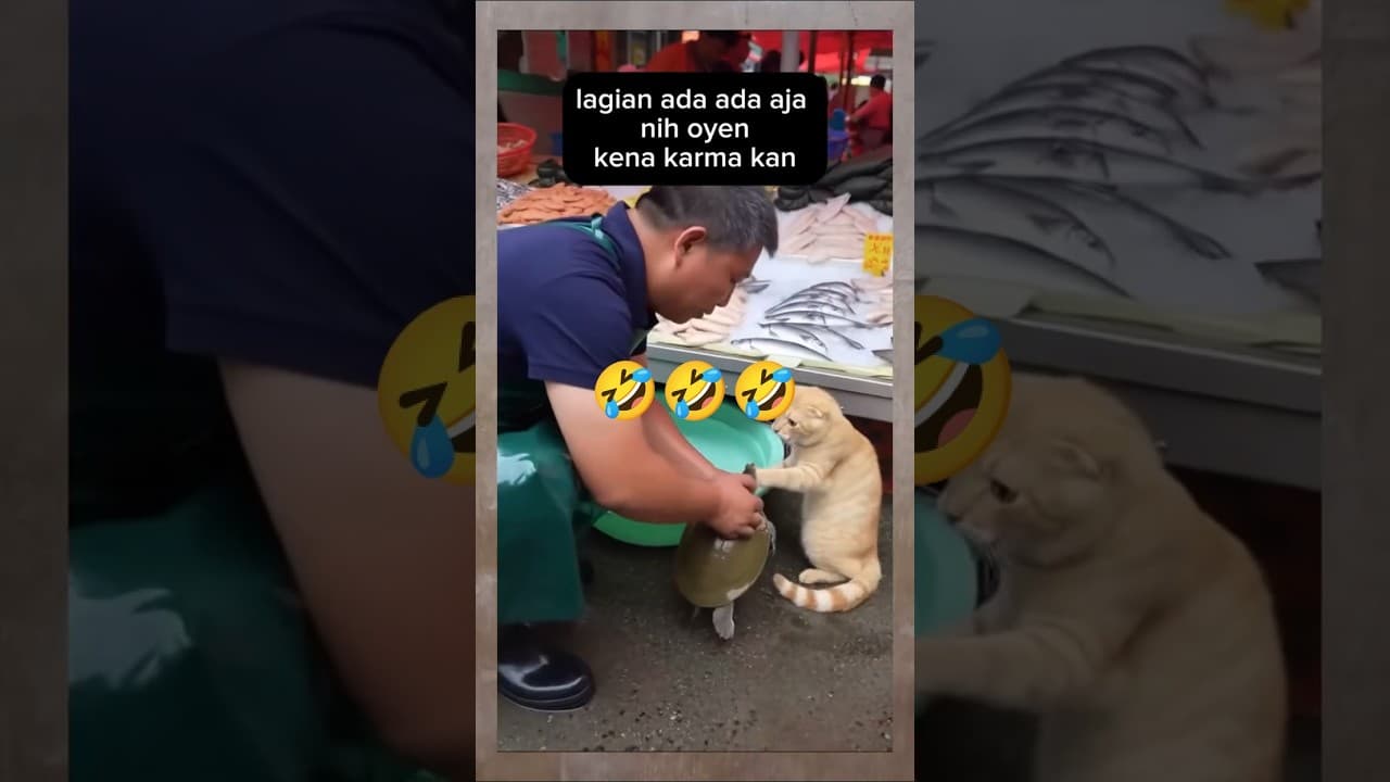 Oyen Sok Jahil,Malah Kena Gigit😁🤣