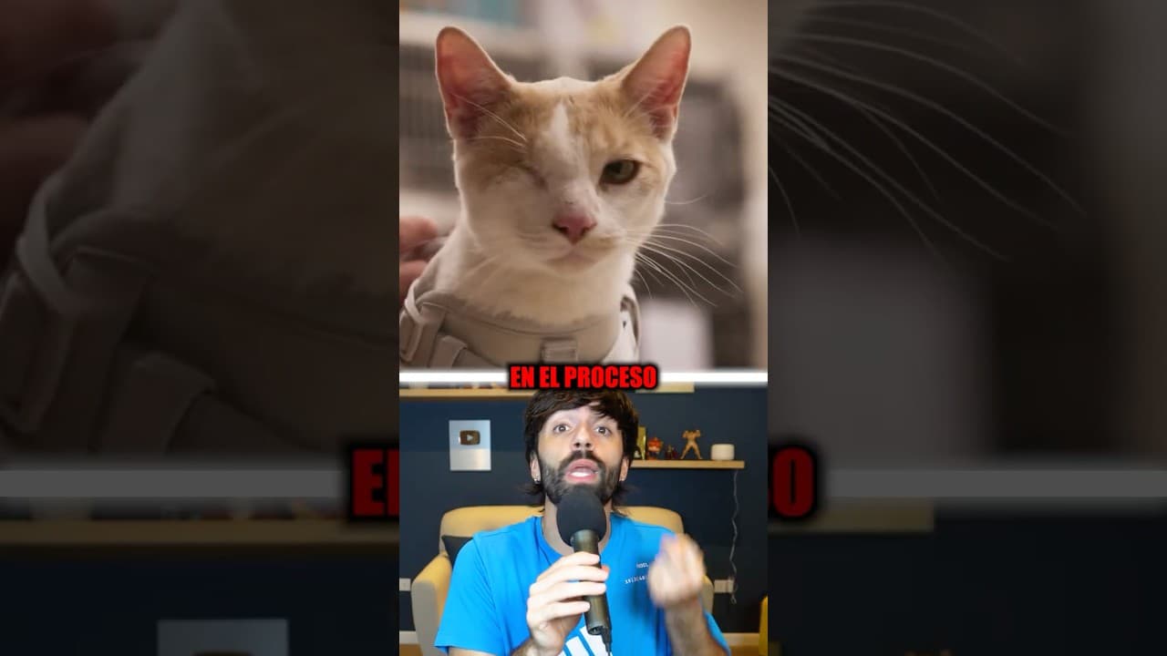 Regaló su patineta a unos bullys para salvar a un gatito 😱 #sabiasque #curiosidades