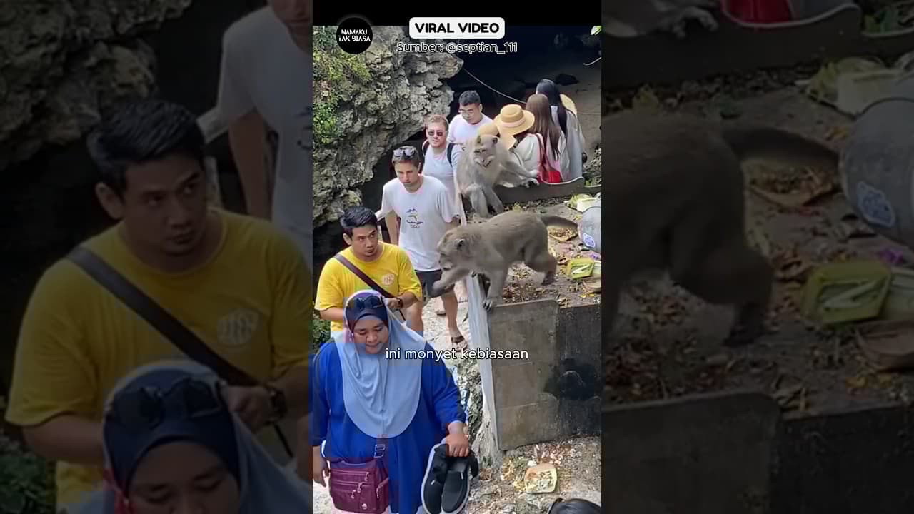 Turis Asing Gak Mau Kalah Dari Monyet Bali‼️ #reaksibule #shorts #viralvideo