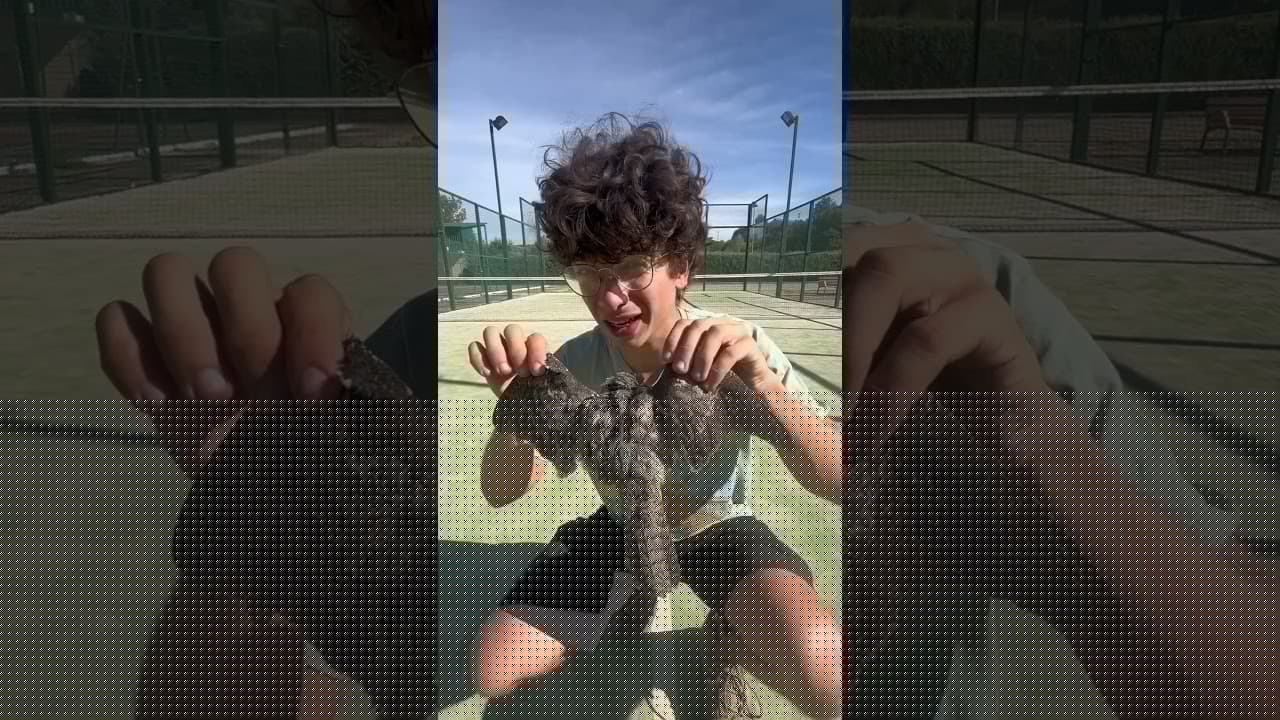 Una grave amenaza para las aves… #shorts #nature #biology