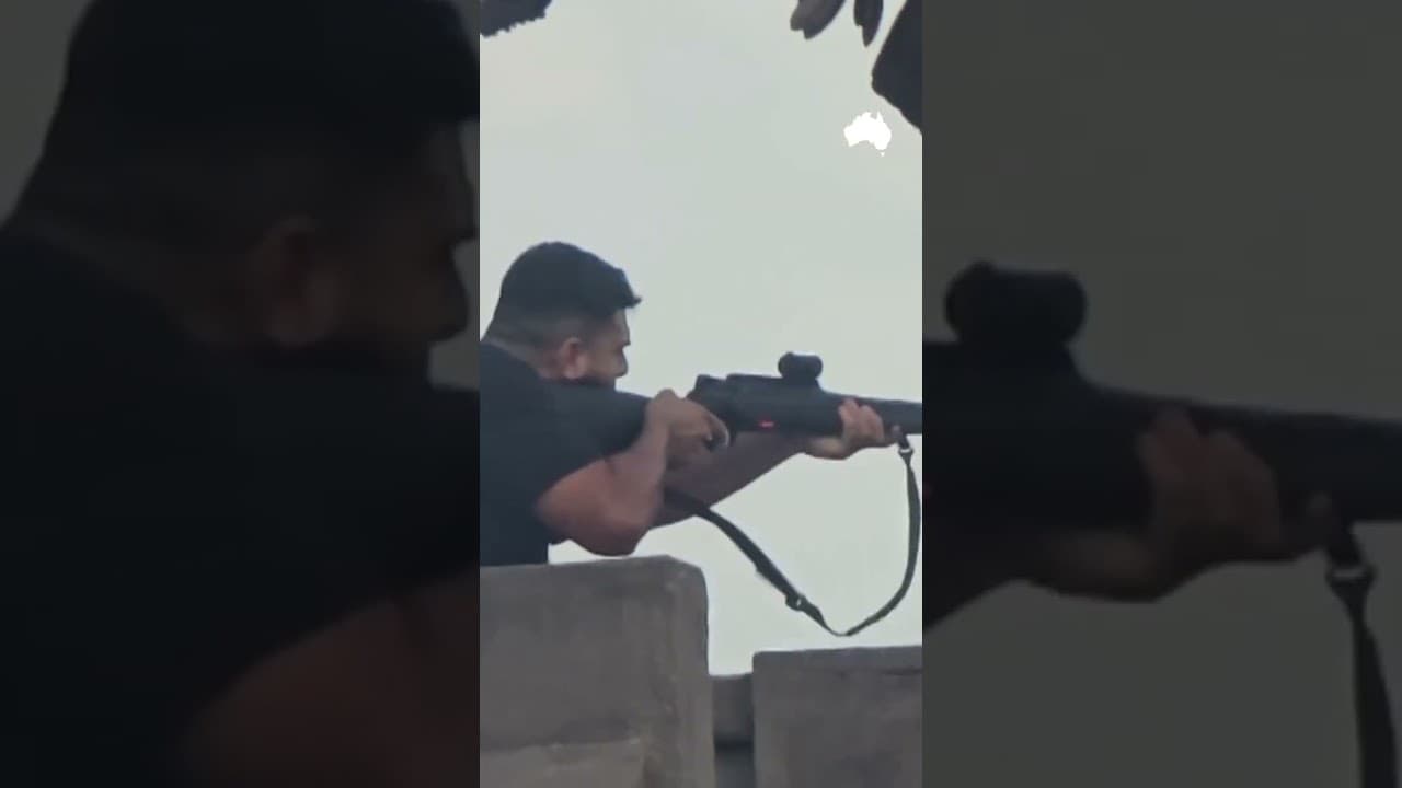 New vision emerges of shooters loading and firing