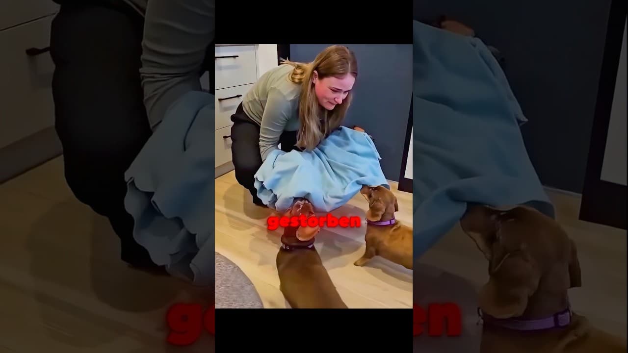 Sie lässt die Geschwister Abschied nehmen 😢💔