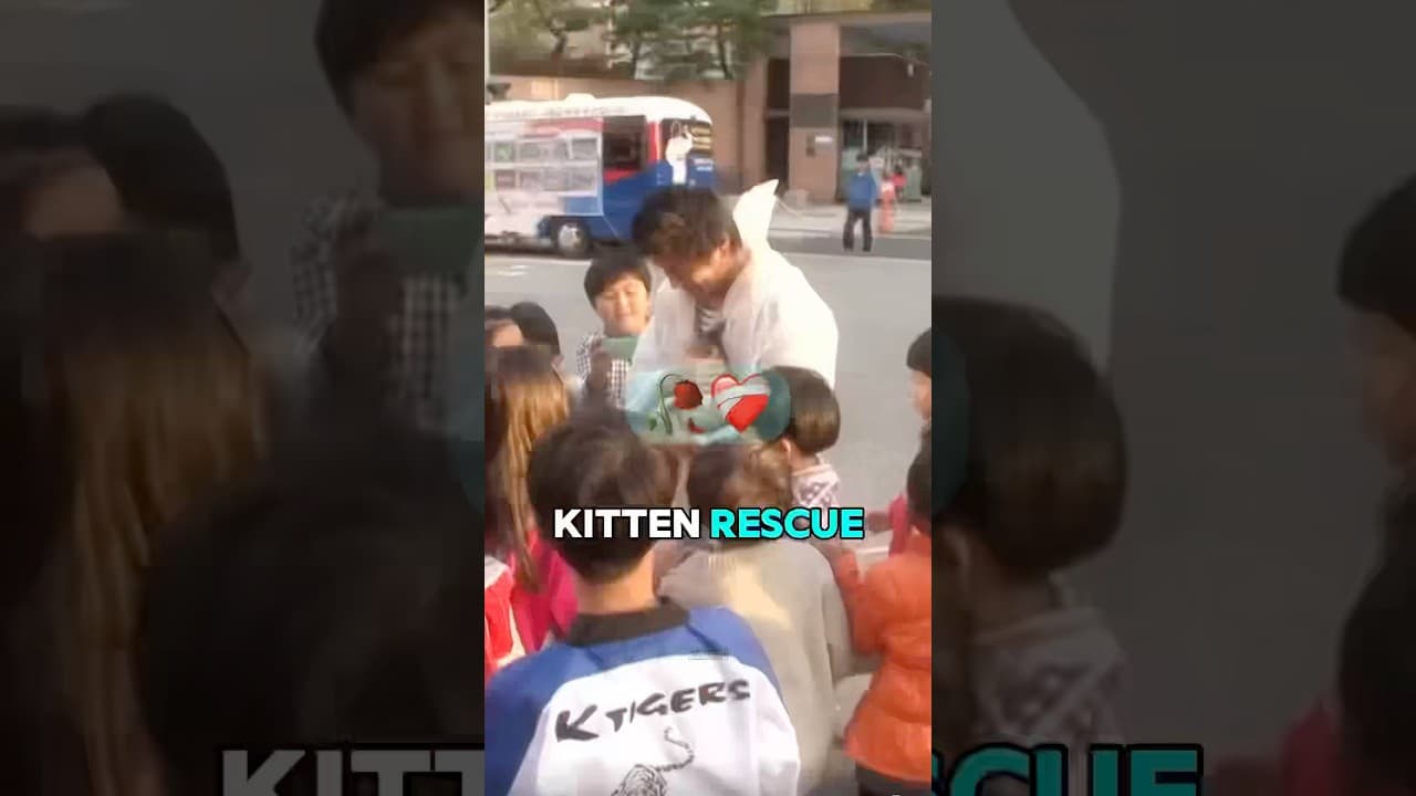 How this cat got saved from the buss stop ❤️‍🩹🥀 (@animal_in_crisis/YT) #shorts