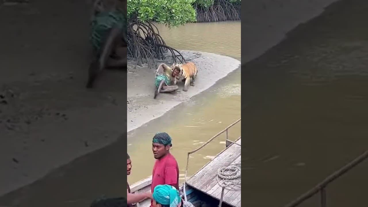 On Camera Recording Fisherman Sundarban!🐯