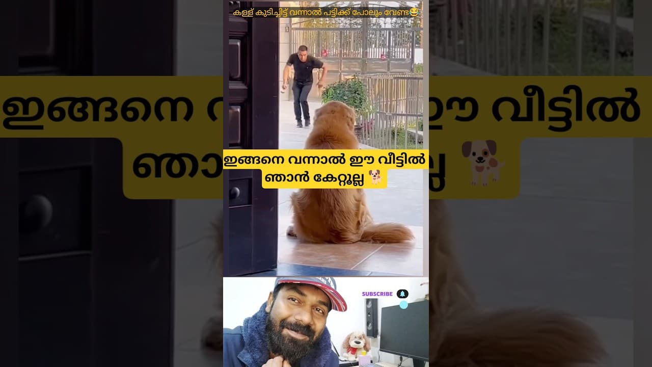 ഇങ്ങനെ വന്നാൽ വീട്ടിൽ കേറ്റുല്ല 🐕😂