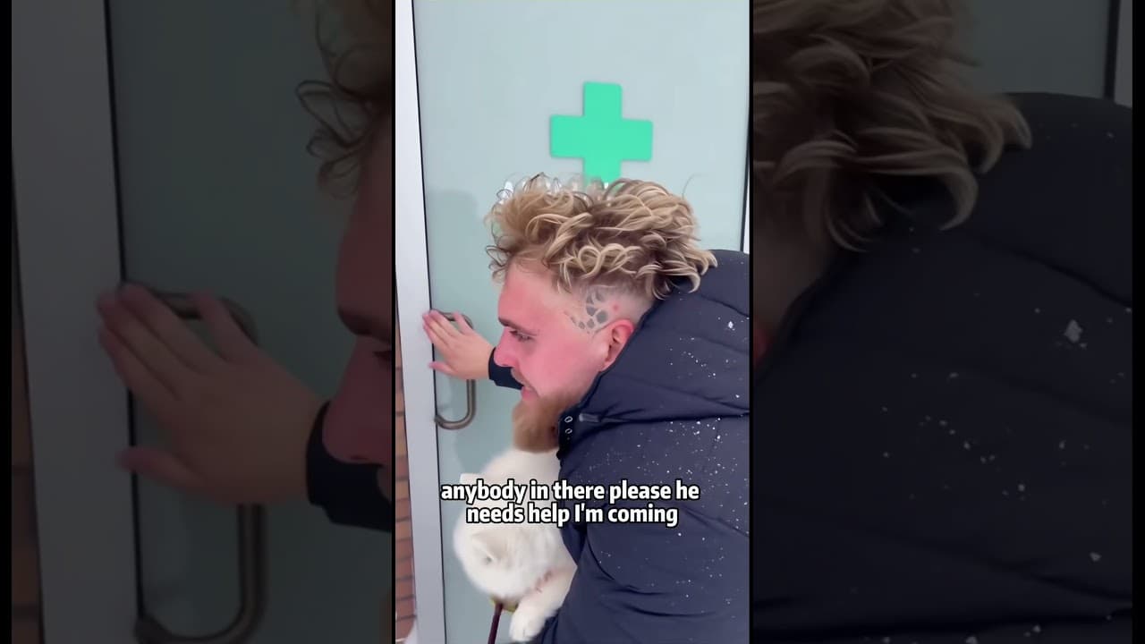 I Helped a Wolf Rescue Her Pup… You Won’t Believe What Happened Next 🐺❤️ #wolf #animalrescue