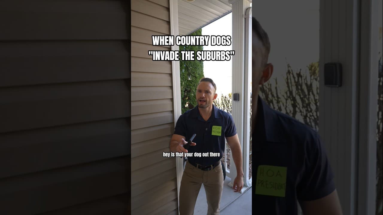 When country dogs invade the suburbs