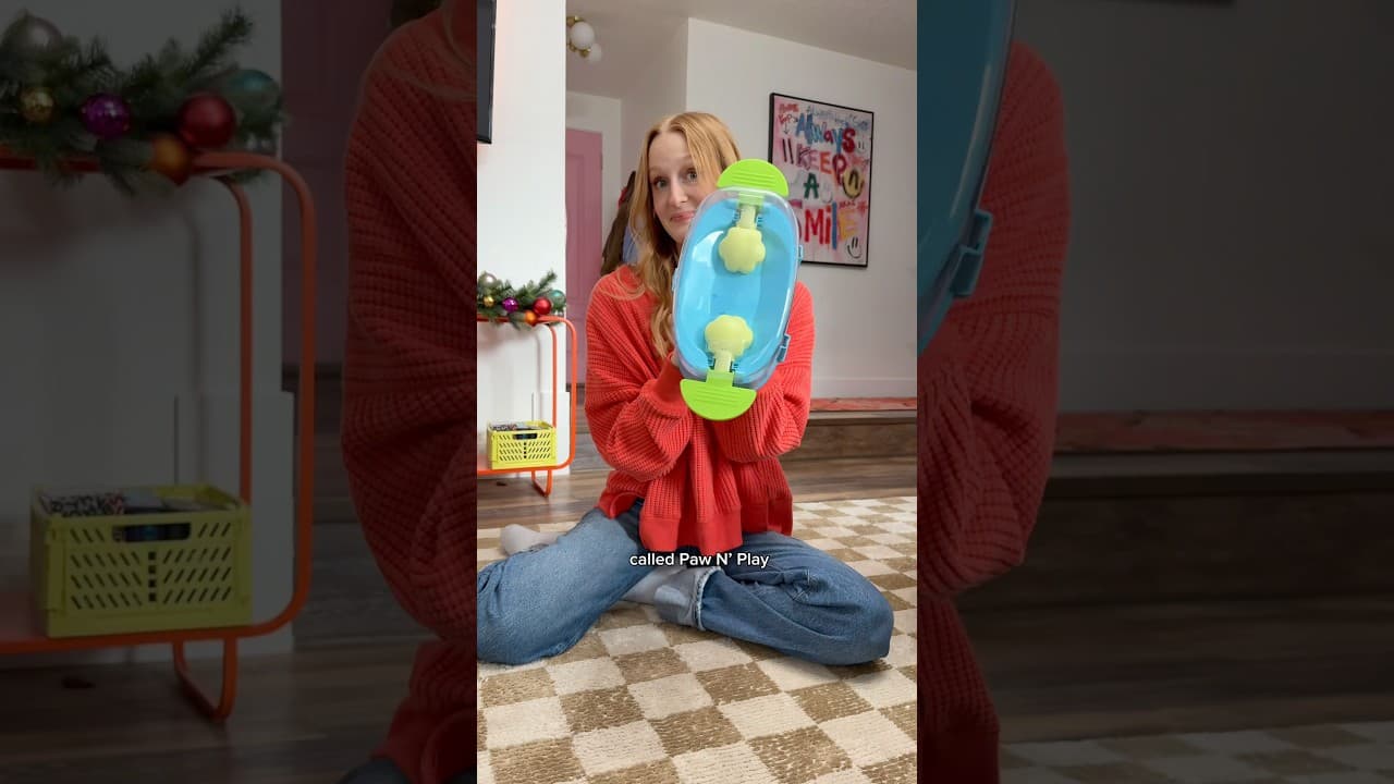 Puzzle Series IS BACK🧩 #shorts #pets #cats #sphynx