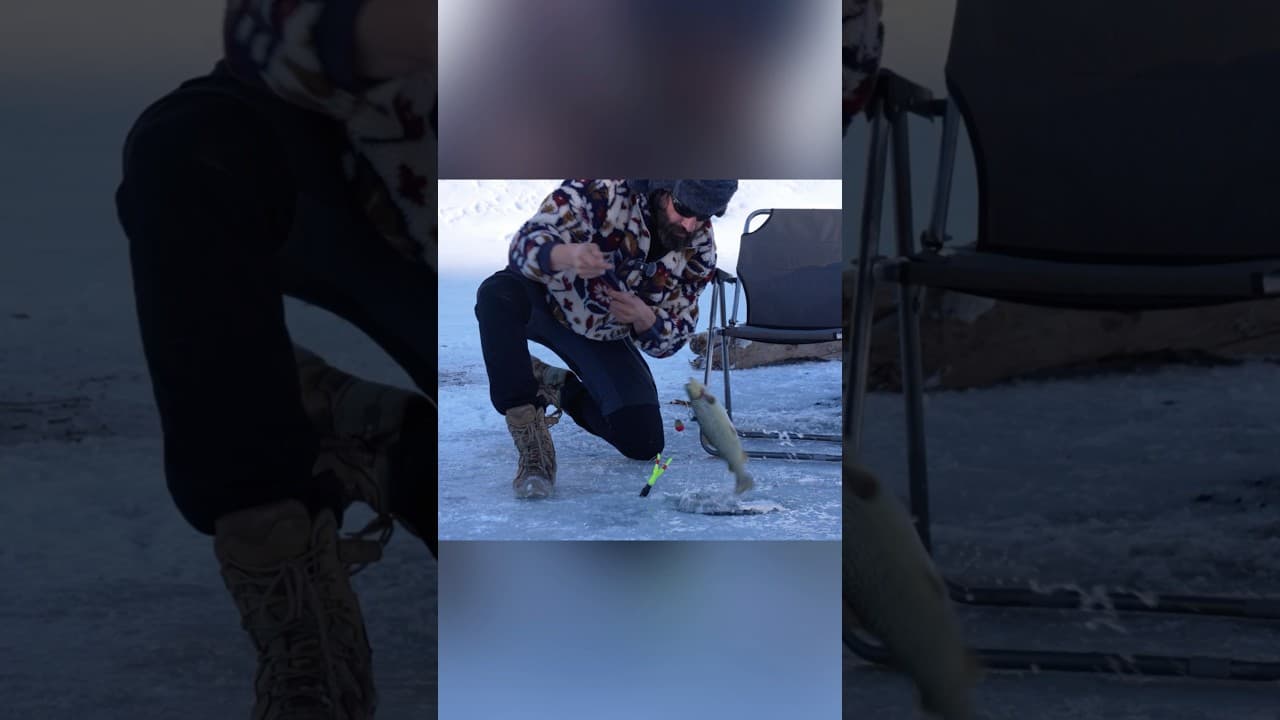 Fishing on a Frozen lake #fishing #fish #camping