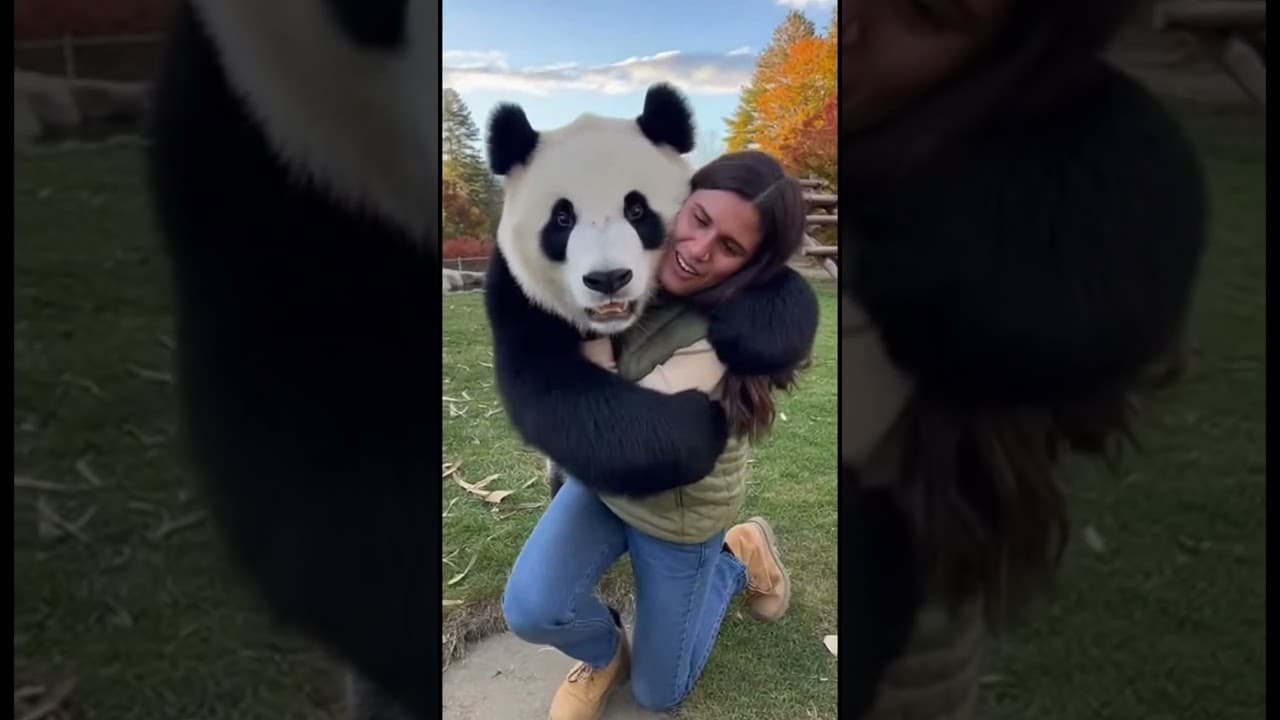 A Wild Animal’s Friendship Never Changed