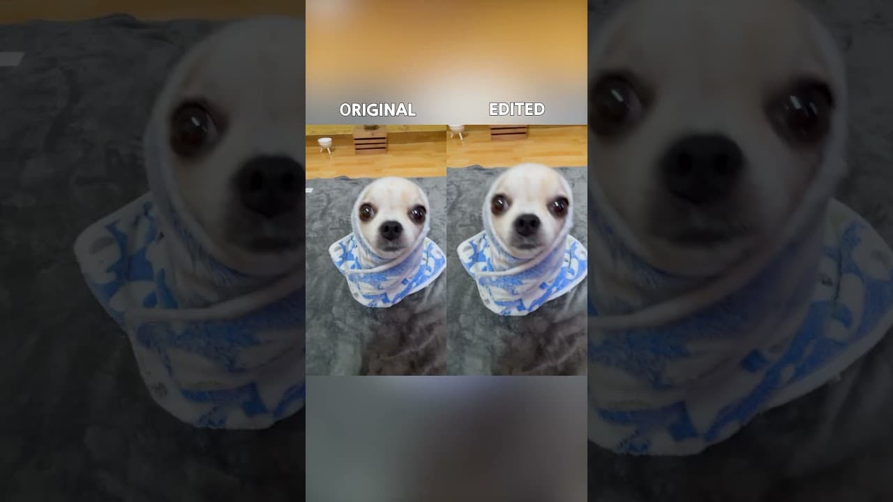 Original vs. Edited. Paloma Blanca #yodajjeom #tutorial