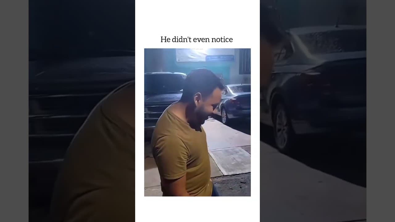 Toyota ❌ Totoya✅