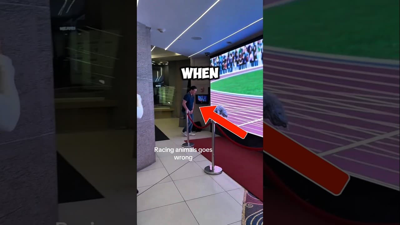 At least He won 😅🤣 #race #challenge #zoo