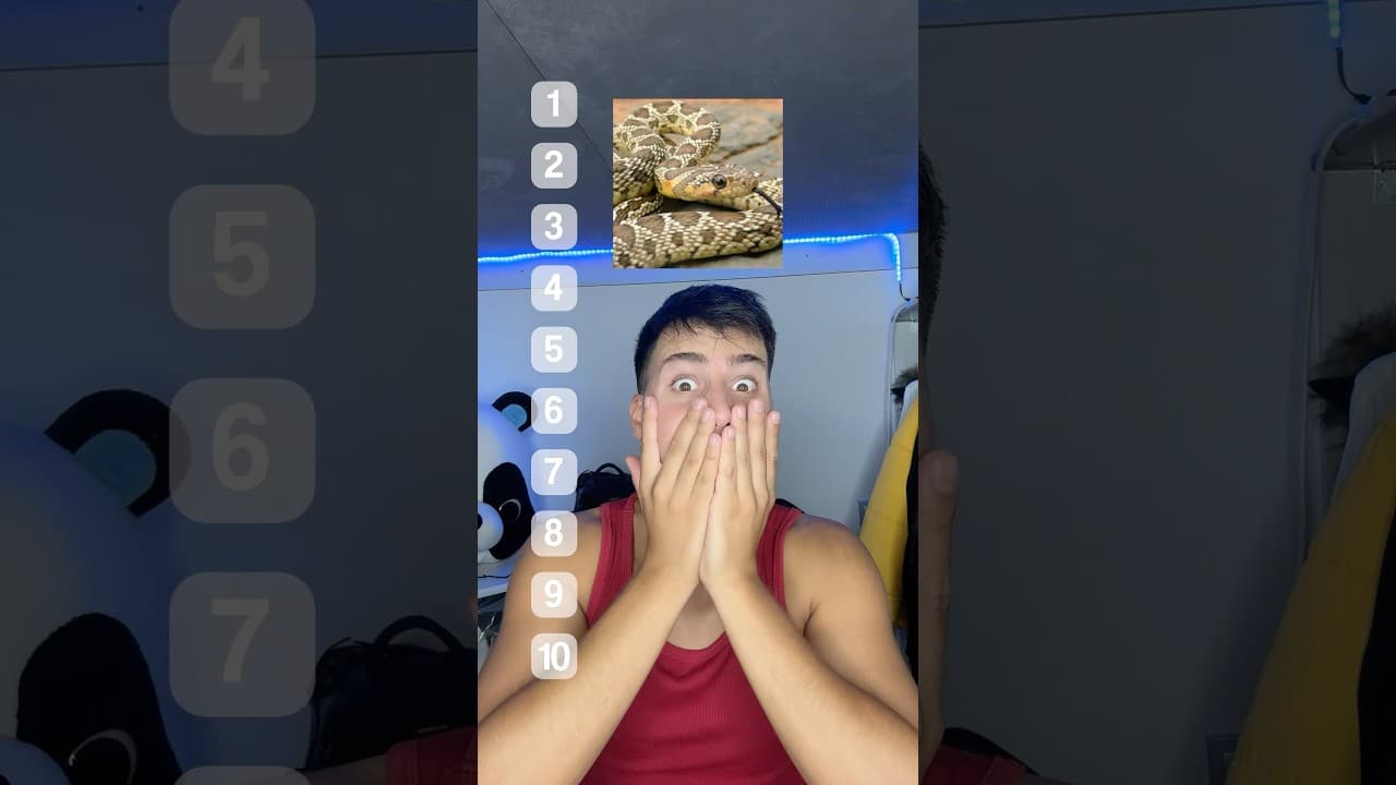 Koliko bi Vrišta da se Probudim Pored Ovih Životinja 😱🫣🐍 RANKING