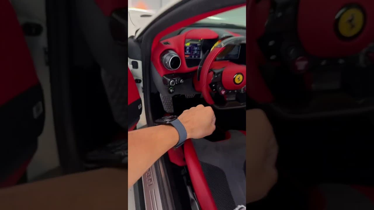 Mira , te voy a explicar lo que me hace feliz #lambo #ferrari #shorts #humor