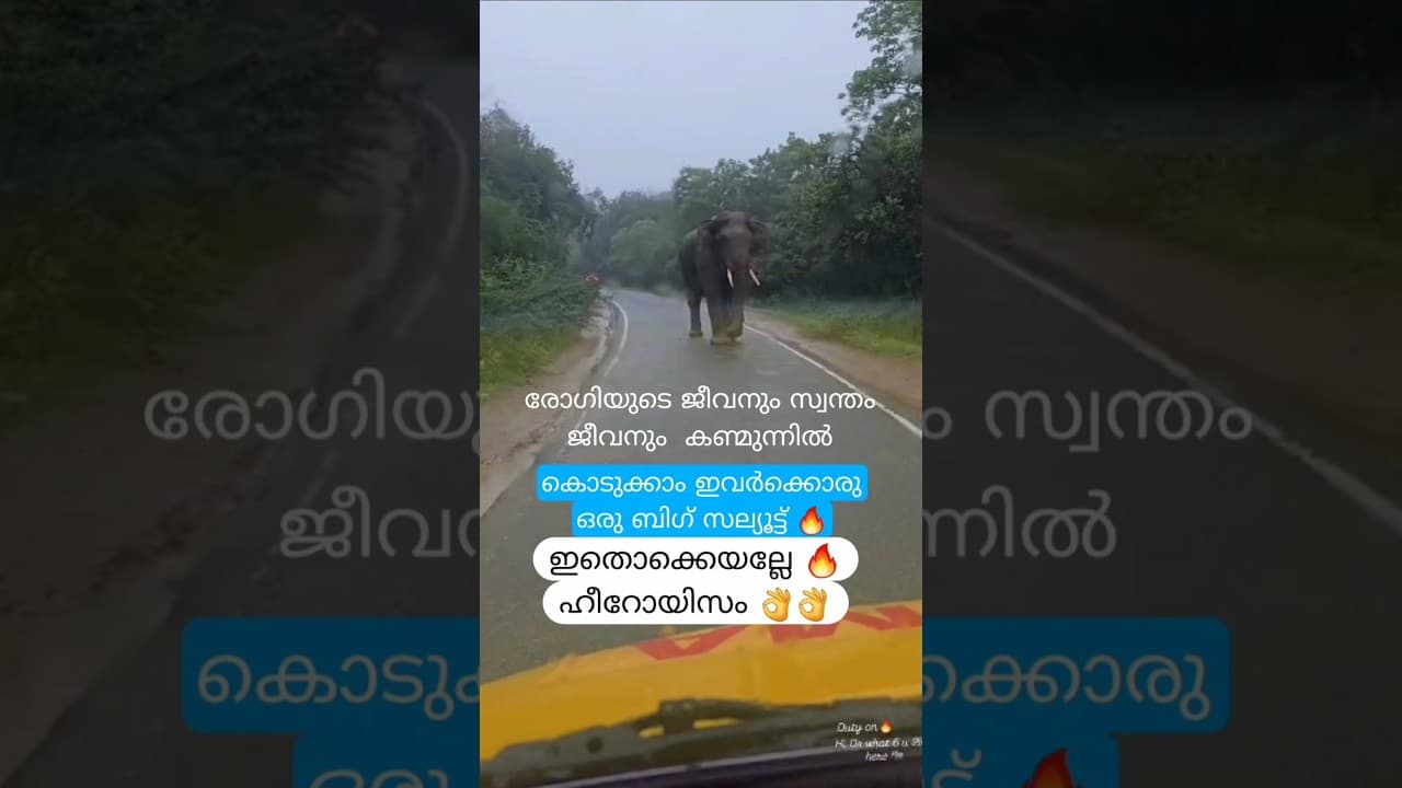 രോഗിയുടെ ജീവനും സ്വന്തം ജീവനും കണ്മുൻപിൽ, കൊടുക്കാം ഇവർക്കൊരു ബിഗ് സല്യൂട്ട്,ഇതാണ് ഹീറോയിസം🔥 #shorts