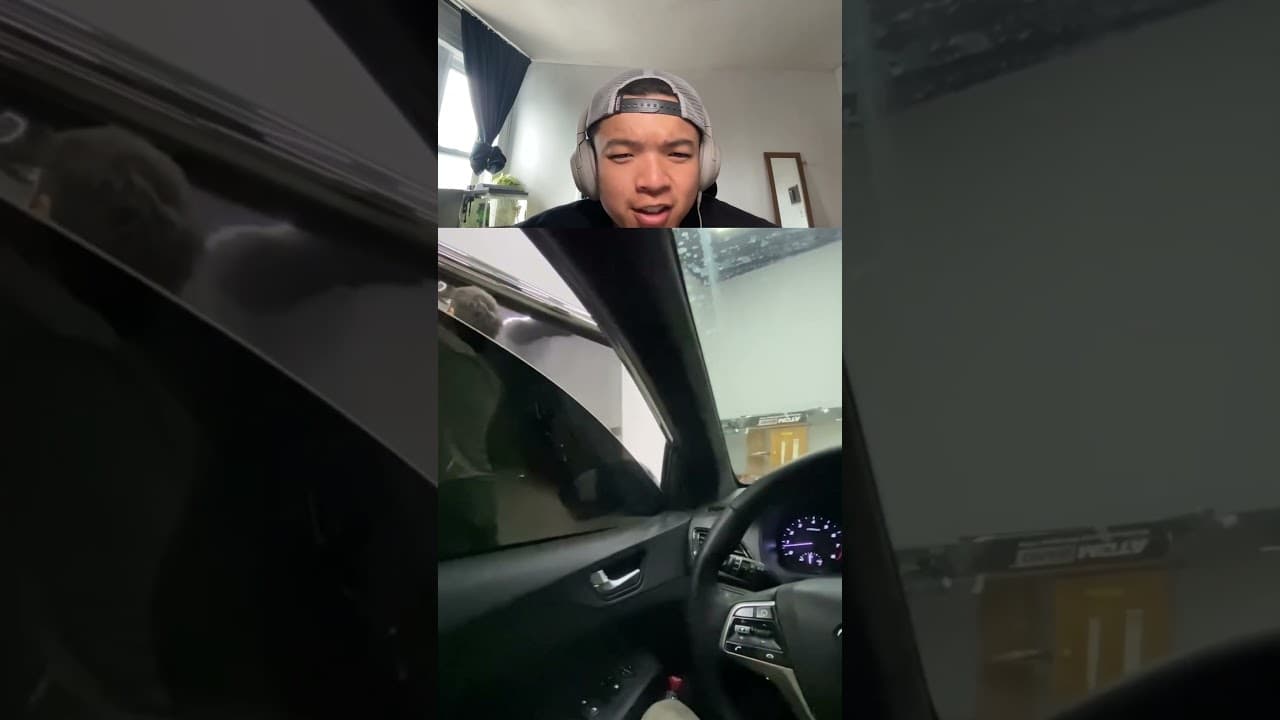 Spy Hidden Tinted Windows