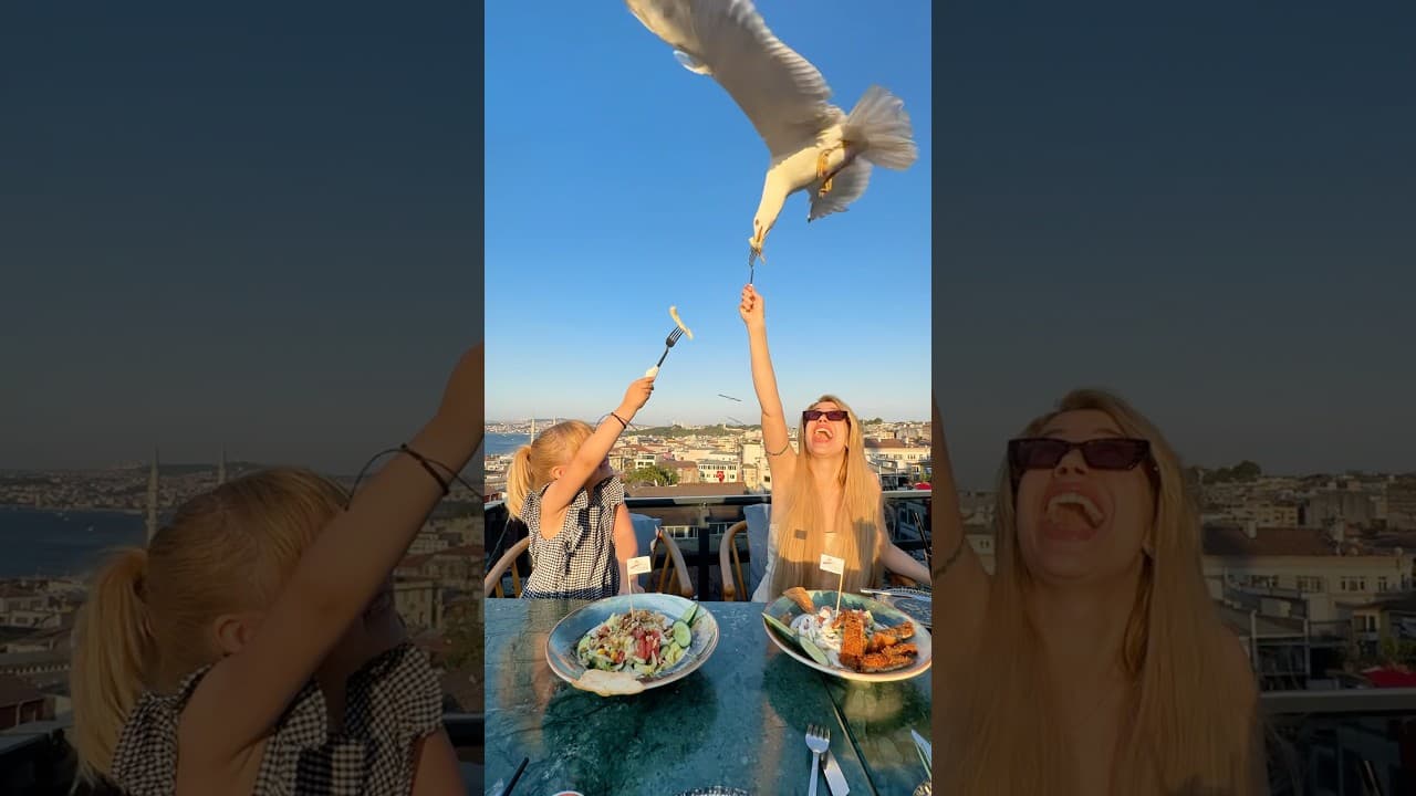 Plan that vacation and come feed the seagulls in Istanbul 🕊️🤍