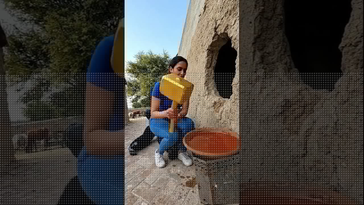 الغوريلا الذكي أمسك بتلك المرأة