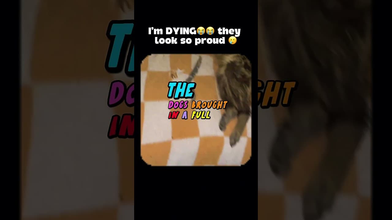 Uh uh tell em to put it back…!!!
