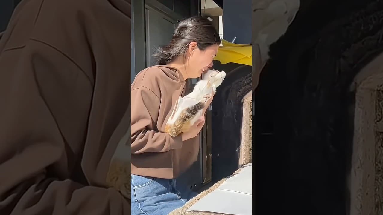 Das Schicksal dieser Katze war gerettet… 🙏🏻🐈 #shorts #ki #sora2 #katze #schicksal