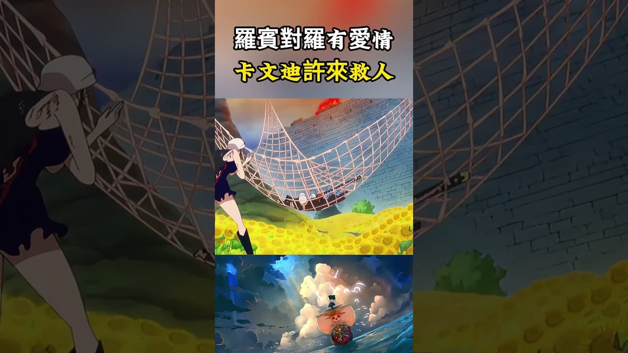 羅賓對羅肯定是有愛情的，用身體幫助羅抵擋明哥的線彈攻擊，還好卡文迪許及時出現擋住了攻擊#onepiece #海賊王 #動漫