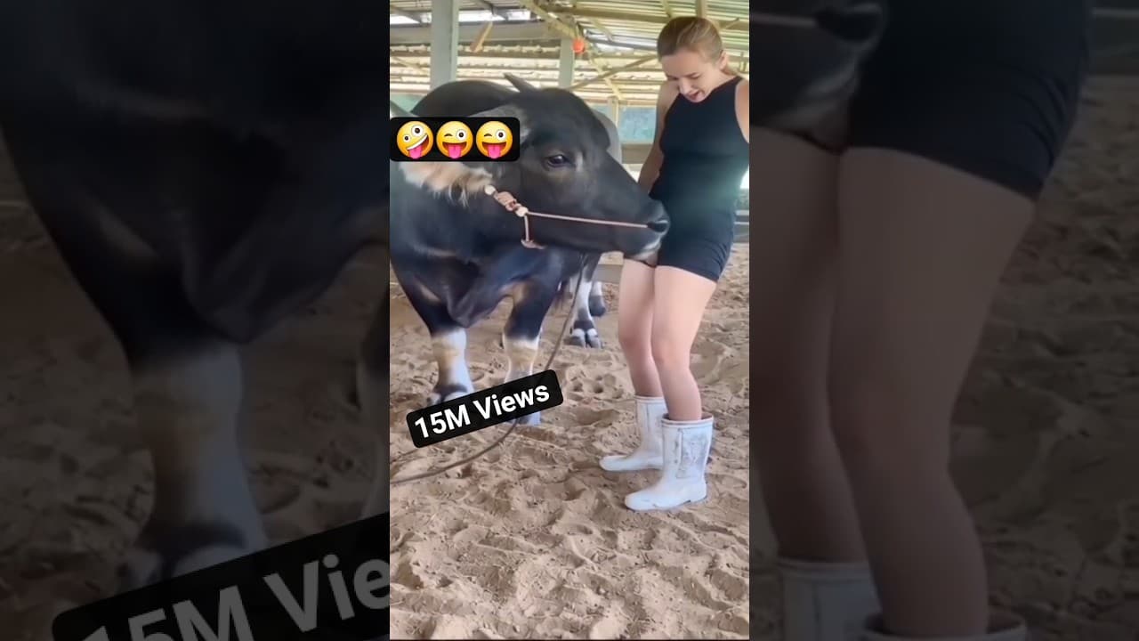 Ya ya ya 😁😄 #newfunnyshorts