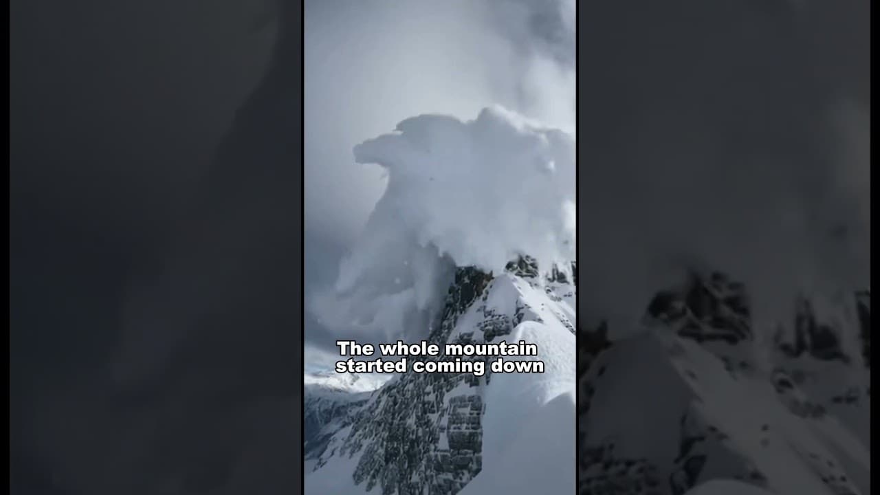 I Dug Her Babies Out Of The Snow... Then The Mountain Came Down