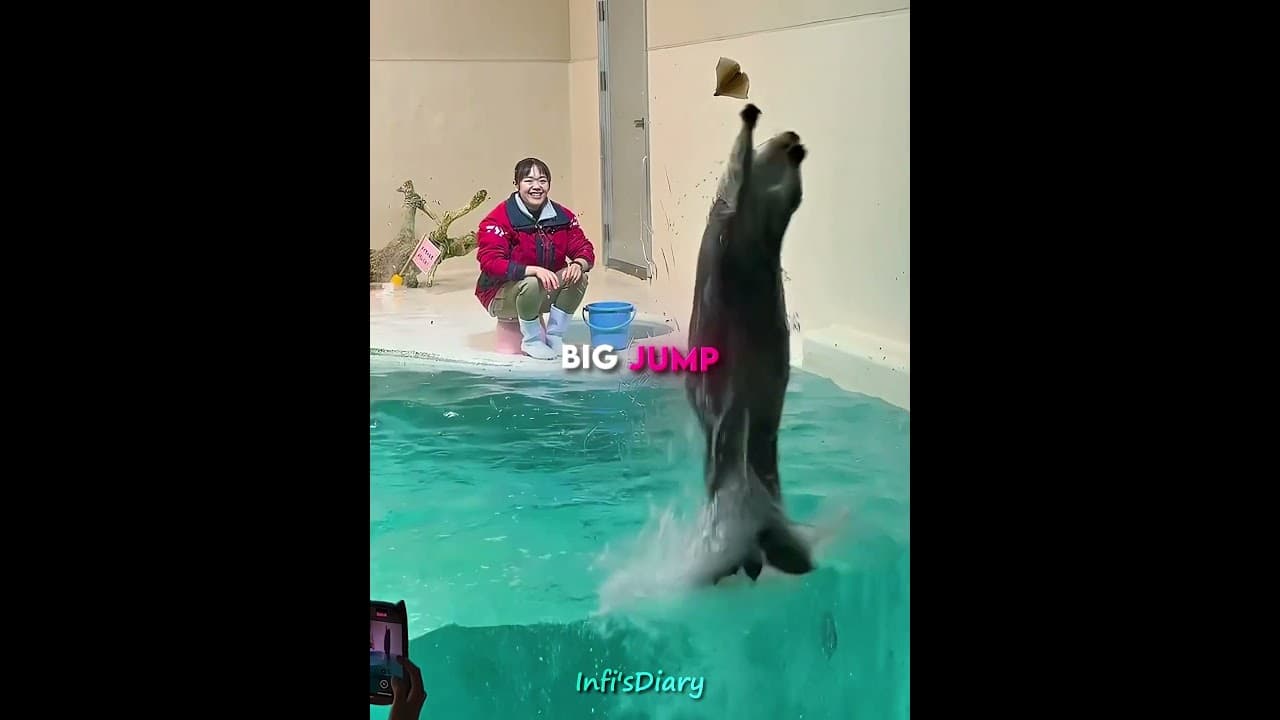 The Otter Who Tried Too Hard 😂🦦  (📷 @urusaiari3/TT) #shorts