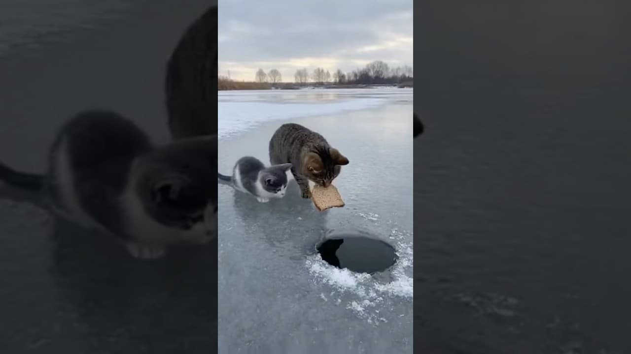 (AI generated) This Bread Might End Their Friendship Foreve そのパンが友情を壊す瞬間だった…