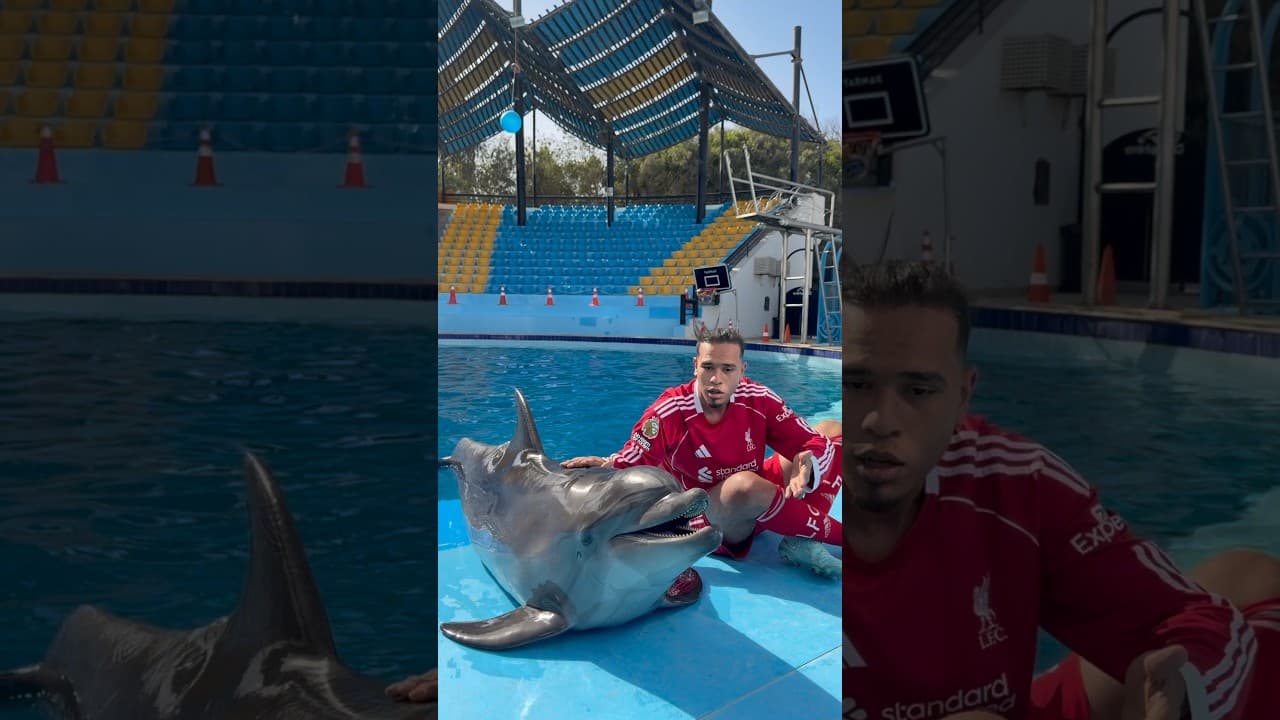 اذكي دولفين في العالم يختار افضل لاعب في العالم ويقلد حركته مع فان دايك هتتصدم مين هو 😳🔥