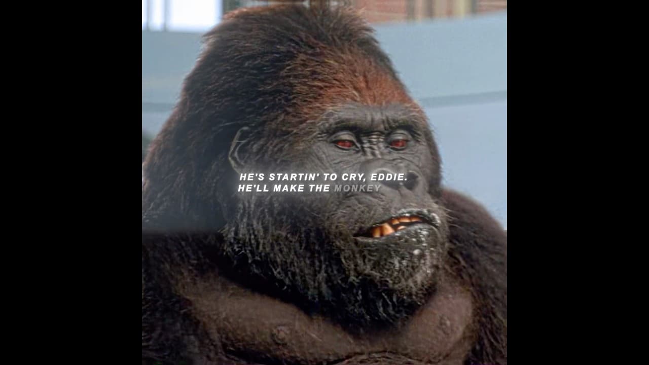 Baby's Day Out（1994）| "Gorilla Don't you dare bully this baby!"🤣🤣🤣#movie #edit