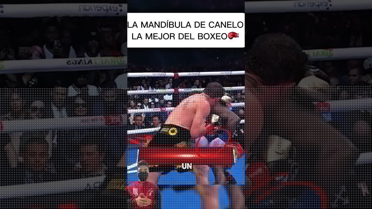 Este fue el mejor golpe de la pelea #boxing #crawfordvscanelo #canelovscrawford #boxing