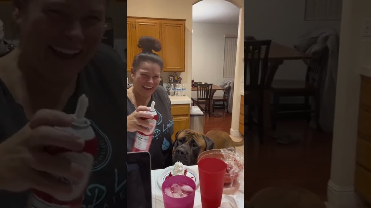 GIANT puppy is obsessed with whipped cream #dog #dogs #cutedog