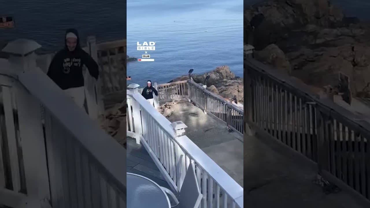 My dog loves to shake off water right next to my brother 💀 (🎥: Collab)