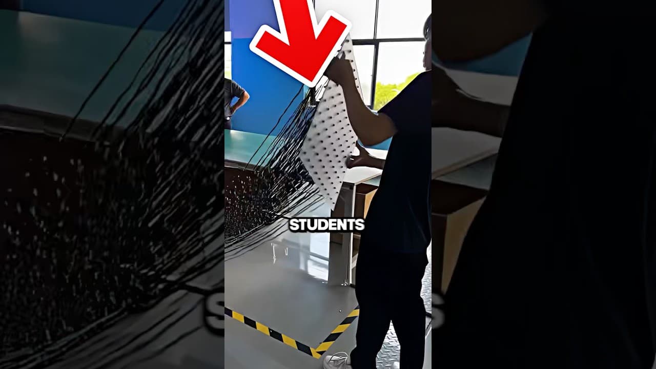 3D Hologram (@aimeetao5)