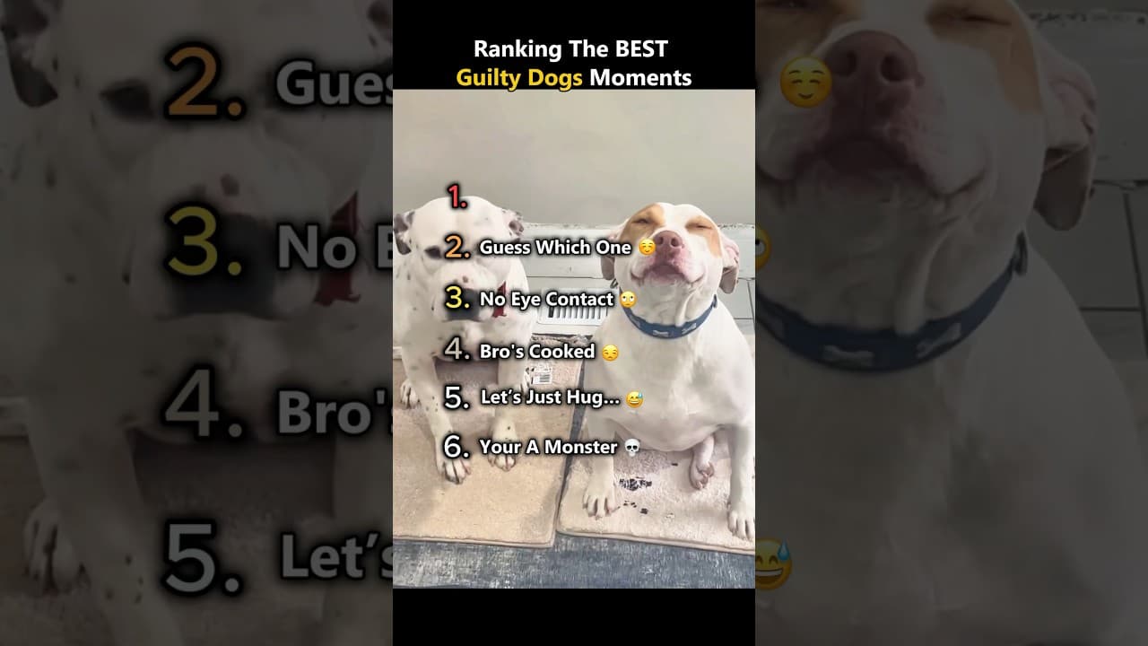 DONT CHECK THE SOUND 😭😭
