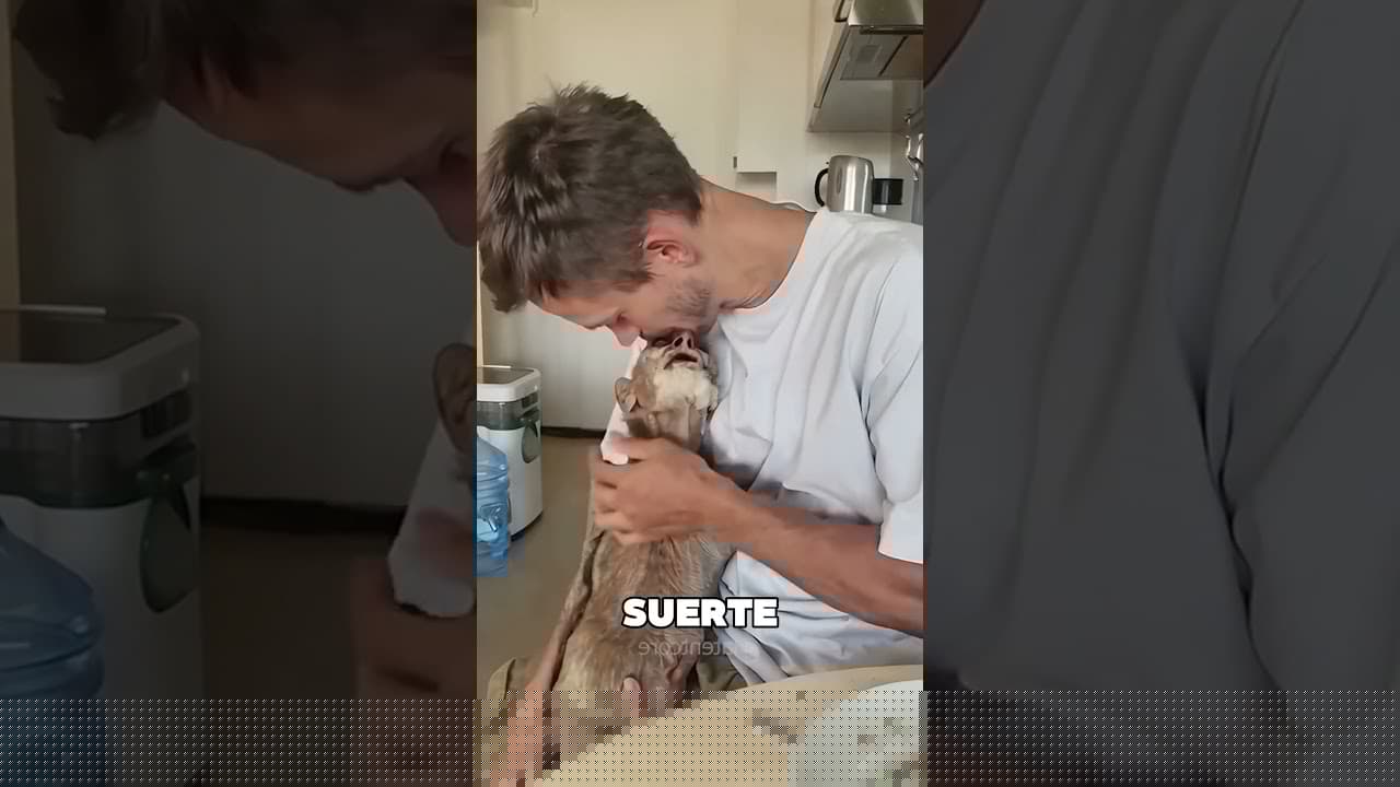 Este Es El Abuelo Con Más Años Del Planeta 😯❤️