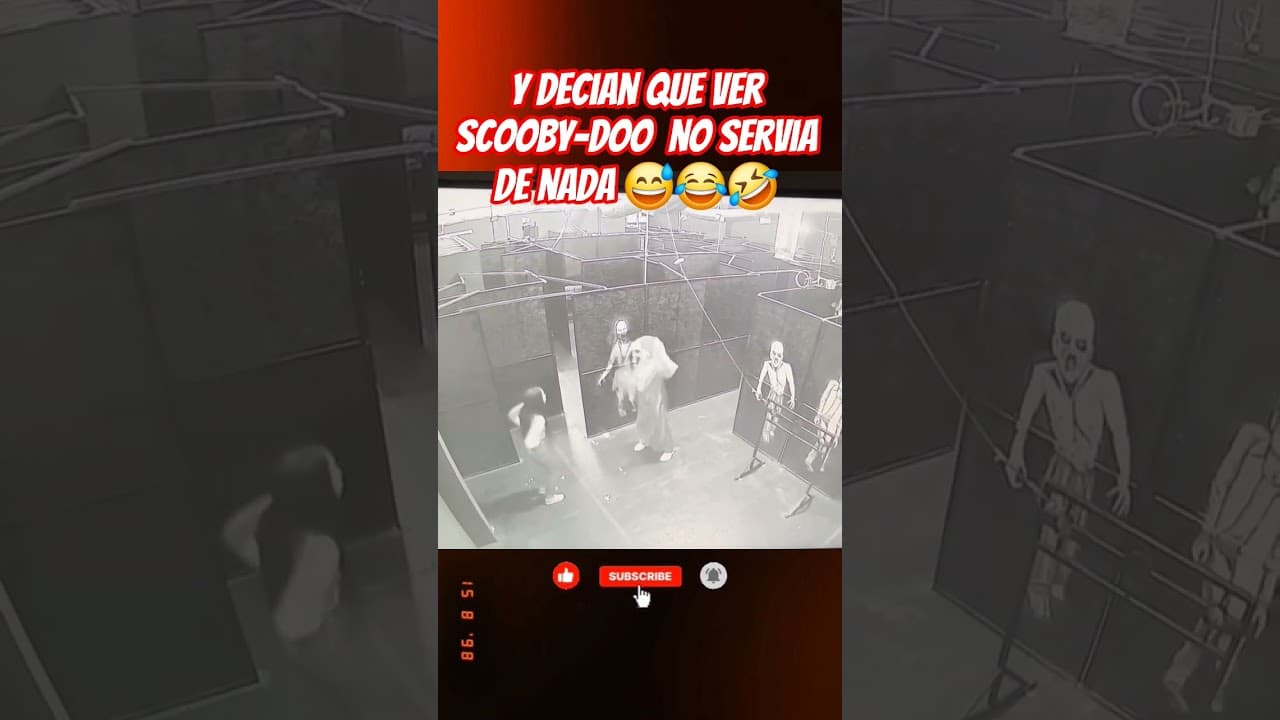 y decían que ver scooby-doo no servía de nada 😊 #humor #comedy #viral #funny #video #risas #youtube