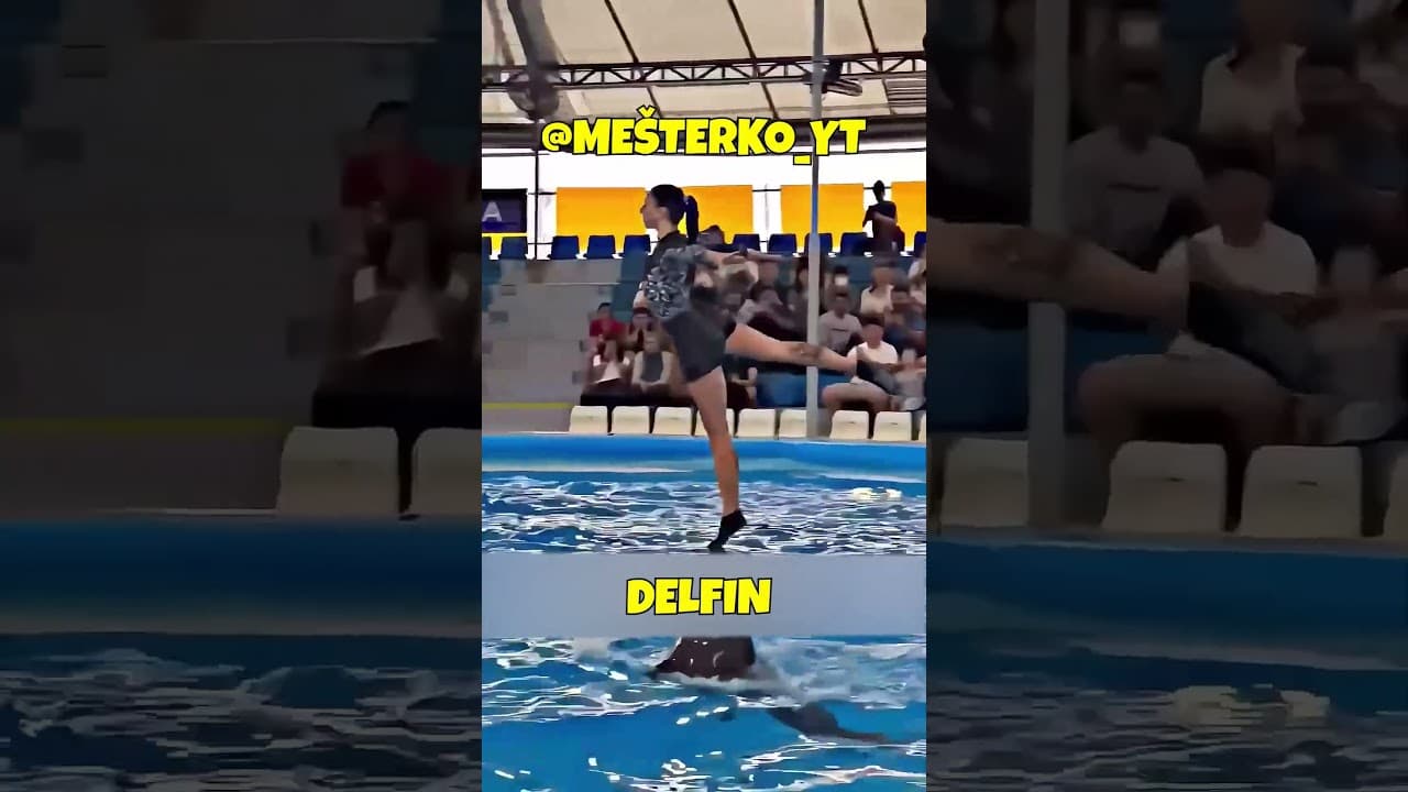 URADILA JE TRIK SA SVOJIM DELFINOM! #mesterko #recomended #viral #fyp