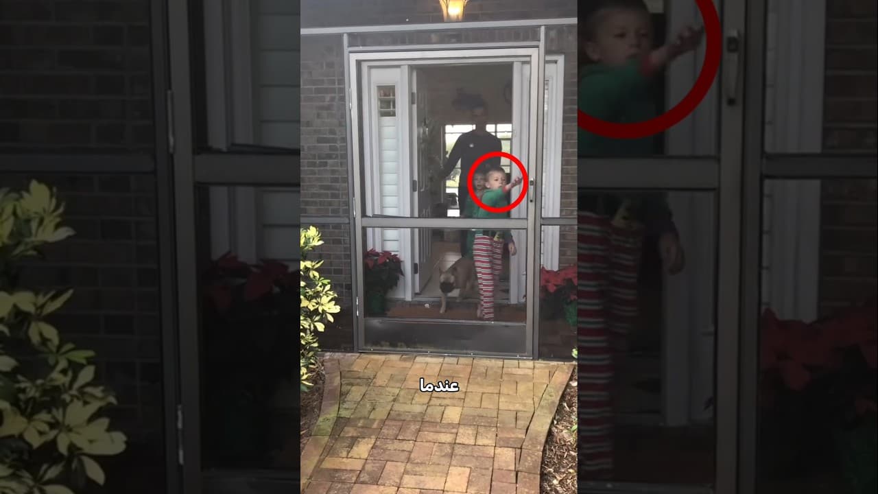 اعتقد انه لم يحصل على شيء!⭕😮