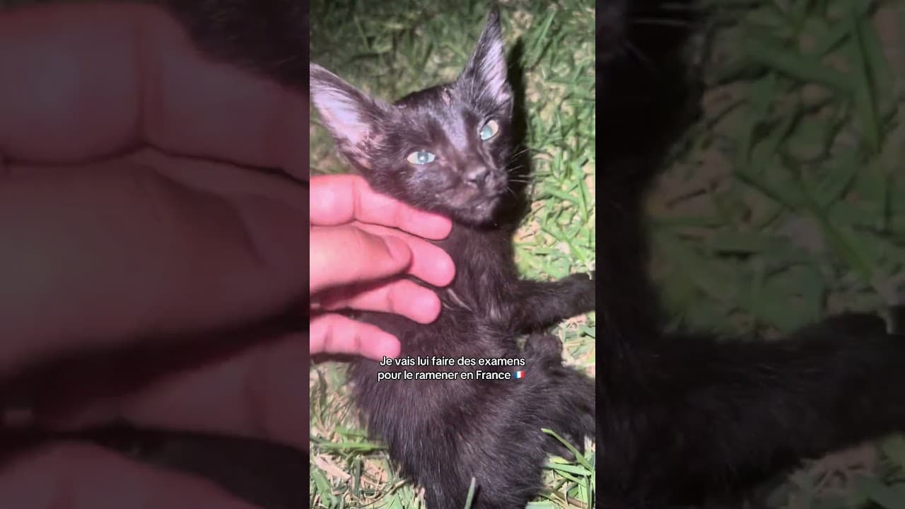 Mv je t’oublierai jamais