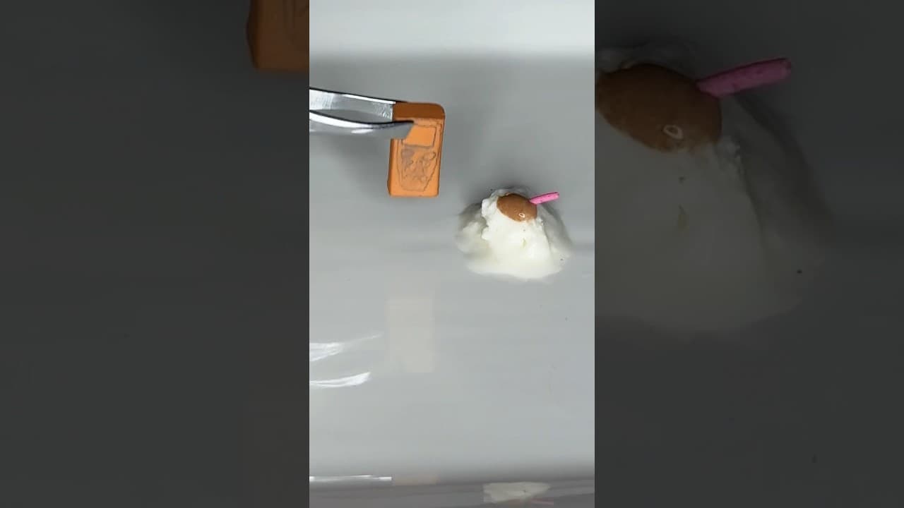 Whats your favourite food?
