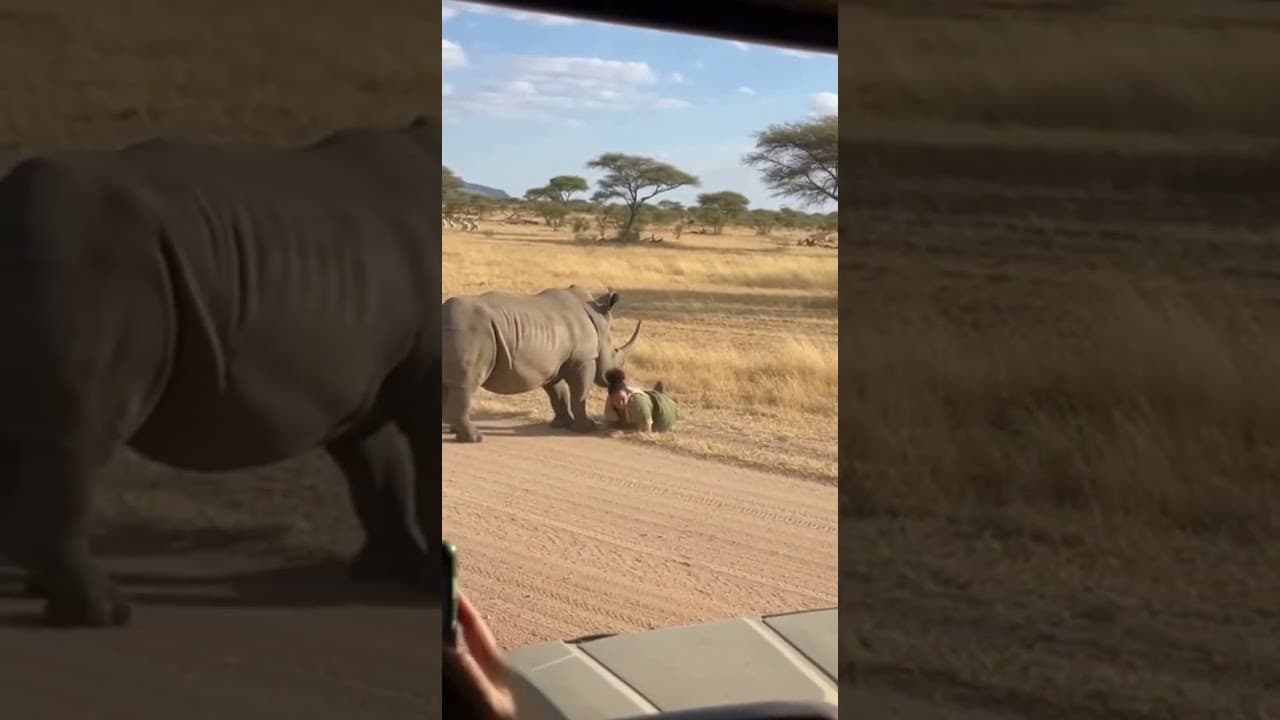 This Moment Shows Why Awareness Matters in the Savannah