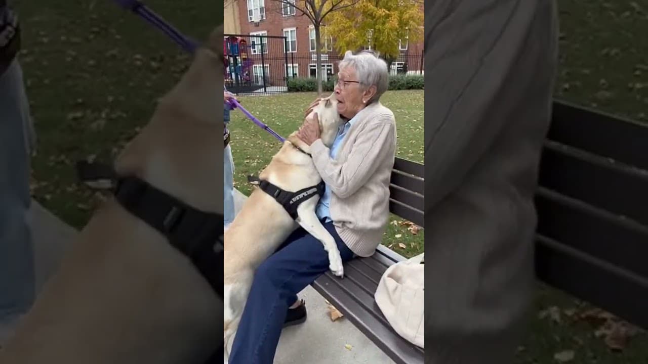 He Ran to Her Like He Remembered Everything 😭🐾